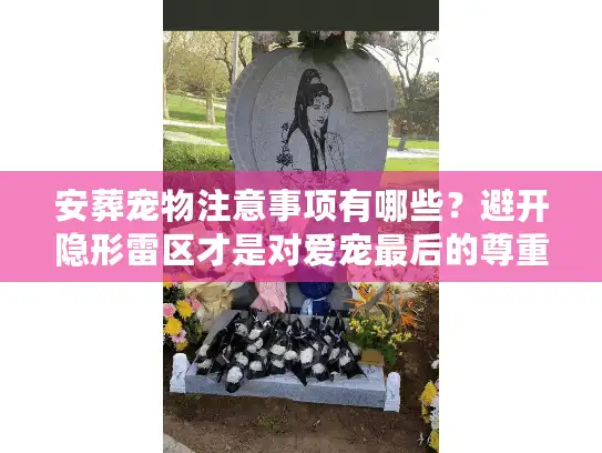 安葬宠物注意事项有哪些？避开隐形雷区才是对爱宠最后的尊重