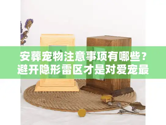 安葬宠物注意事项有哪些？避开隐形雷区才是对爱宠最后的尊重