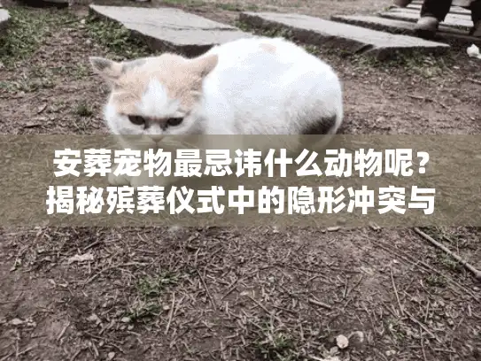 安葬宠物最忌讳什么动物呢？揭秘殡葬仪式中的隐形冲突与化解之道