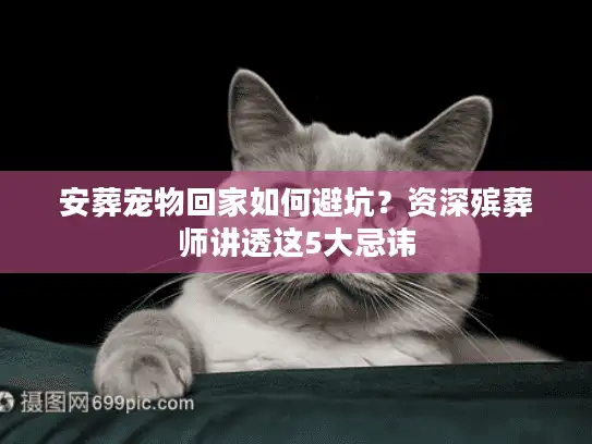安葬宠物回家如何避坑？资深殡葬师讲透这5大忌讳
