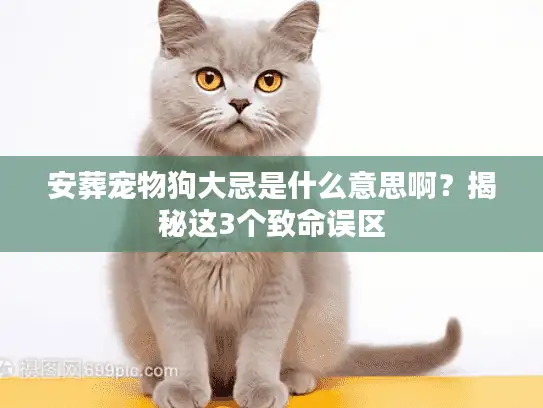 安葬宠物狗大忌是什么意思啊？揭秘这3个致命误区