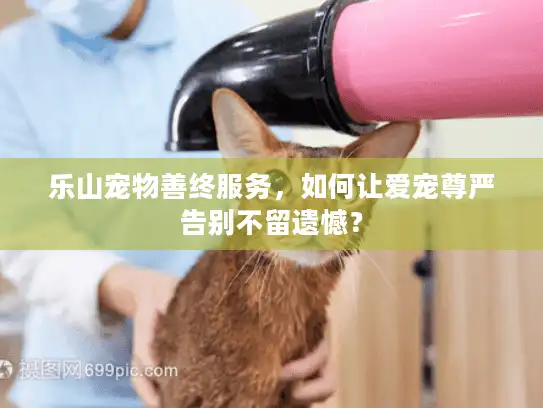 乐山宠物善终服务，如何让爱宠尊严告别不留遗憾？