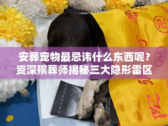 安葬宠物最忌讳什么东西呢？资深殡葬师揭秘三大隐形雷区