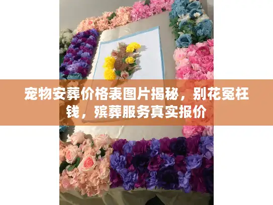 宠物安葬价格表图片揭秘，别花冤枉钱，殡葬服务真实报价
