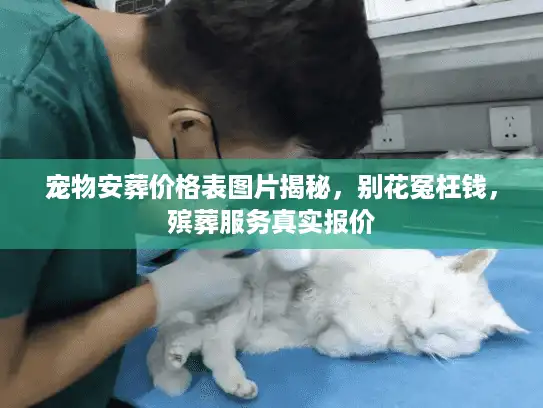 宠物安葬价格表图片揭秘，别花冤枉钱，殡葬服务真实报价
