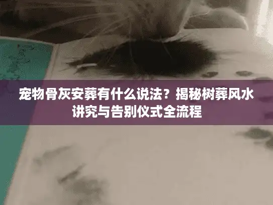 宠物骨灰安葬有什么说法？揭秘树葬风水讲究与告别仪式全流程