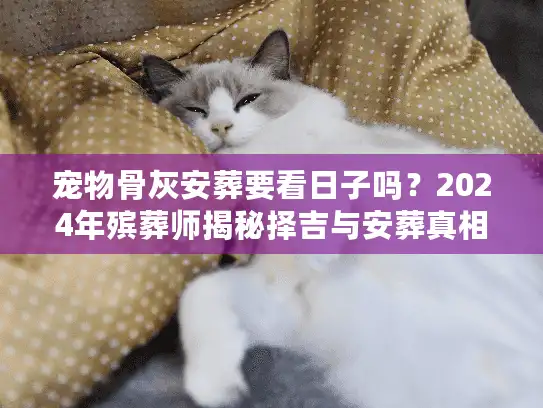 宠物骨灰安葬要看日子吗？2024年殡葬师揭秘择吉与安葬真相