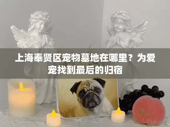 上海奉贤区宠物墓地在哪里？为爱宠找到最后的归宿
