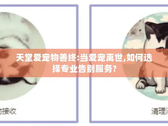 天堂爱宠物善终:当爱宠离世,如何选择专业告别服务?