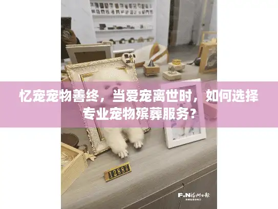 忆宠宠物善终，当爱宠离世时，如何选择专业宠物殡葬服务？