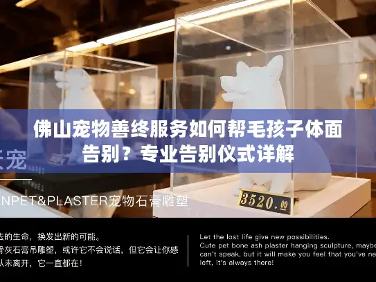 佛山宠物善终服务如何帮毛孩子体面告别？专业告别仪式详解