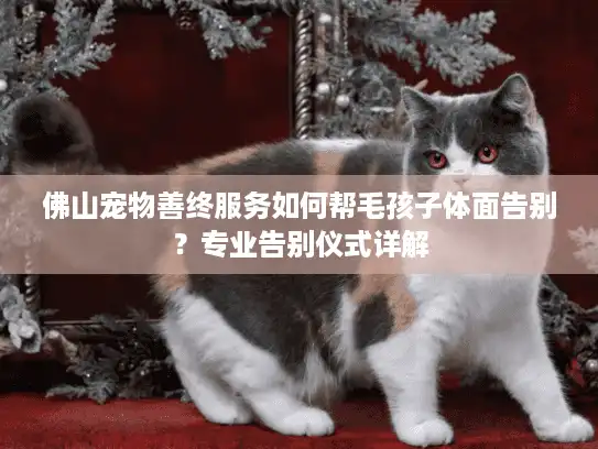 佛山宠物善终服务如何帮毛孩子体面告别？专业告别仪式详解