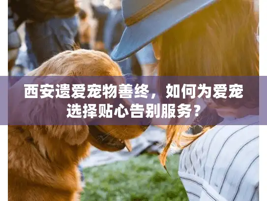 西安遗爱宠物善终，如何为爱宠选择贴心告别服务？