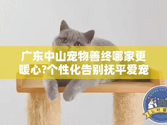 广东中山宠物善终哪家更暖心?个性化告别抚平爱宠离别伤痛