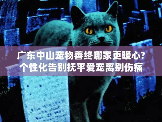 广东中山宠物善终哪家更暖心?个性化告别抚平爱宠离别伤痛