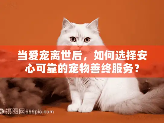 当爱宠离世后，如何选择安心可靠的宠物善终服务？
