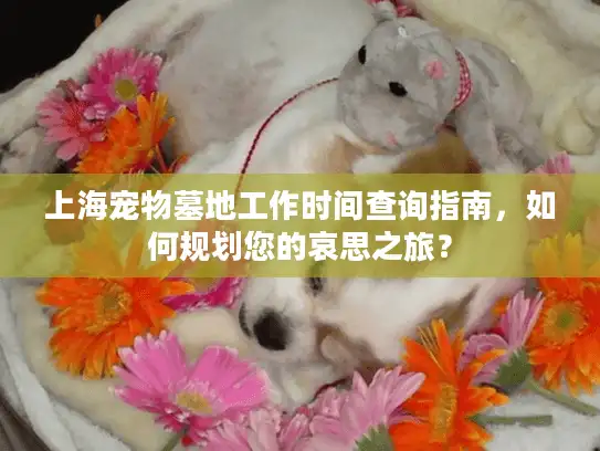 上海宠物墓地工作时间查询指南，如何规划您的哀思之旅？