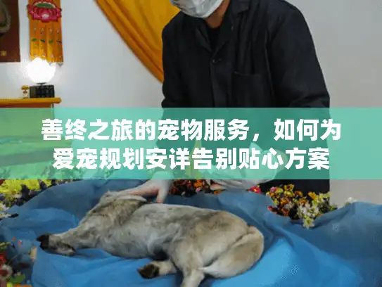 善终之旅的宠物服务，如何为爱宠规划安详告别贴心方案