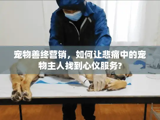 宠物善终营销，如何让悲痛中的宠物主人找到心仪服务?