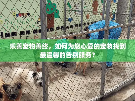 乐善宠物善终，如何为您心爱的宠物找到最温馨的告别服务？
