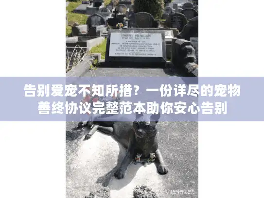 告别爱宠不知所措？一份详尽的宠物善终协议完整范本助你安心告别