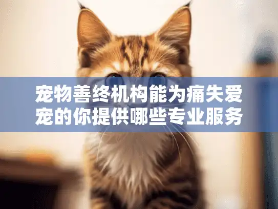 宠物善终机构能为痛失爱宠的你提供哪些专业服务？