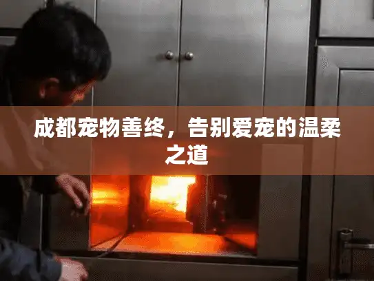 成都宠物善终，告别爱宠的温柔之道