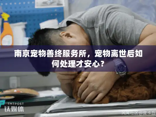 南京宠物善终服务所，宠物离世后如何处理才安心？