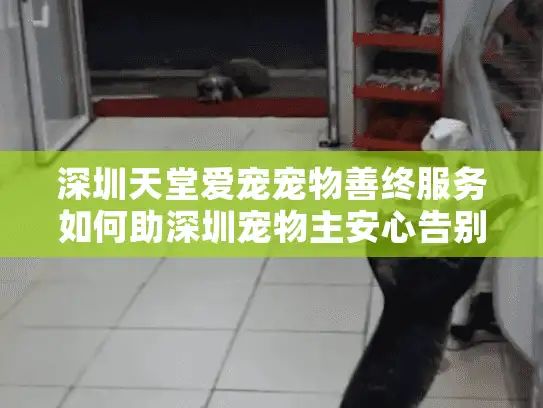 深圳天堂爱宠宠物善终服务如何助深圳宠物主安心告别爱宠？