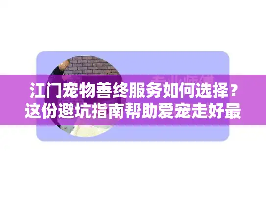江门宠物善终服务如何选择？这份避坑指南帮助爱宠走好最后一程