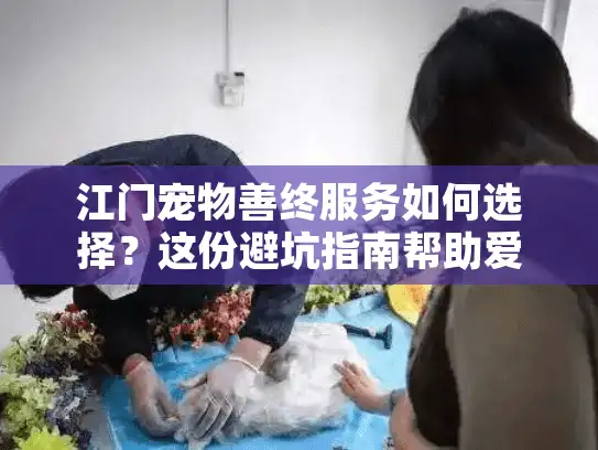 江门宠物善终服务如何选择？这份避坑指南帮助爱宠走好最后一程