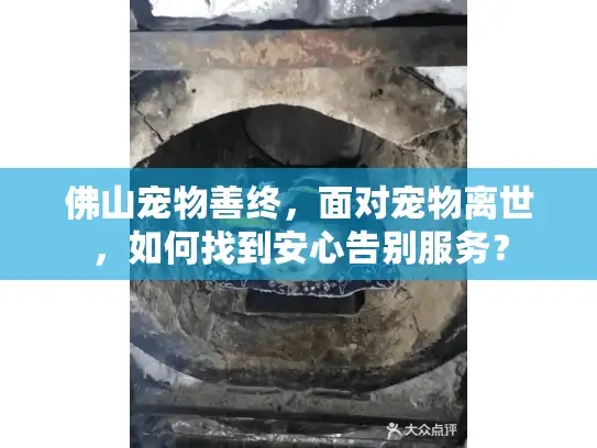 佛山宠物善终，面对宠物离世，如何找到安心告别服务？