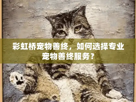 彩虹桥宠物善终，如何选择专业宠物善终服务？