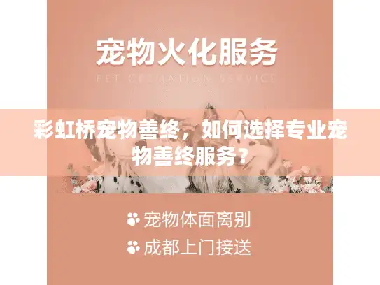 彩虹桥宠物善终，如何选择专业宠物善终服务？