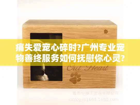 痛失爱宠心碎时?广州专业宠物善终服务如何抚慰你心灵?
