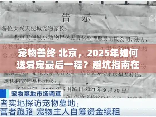 宠物善终 北京，2025年如何送爱宠最后一程？避坑指南在此！