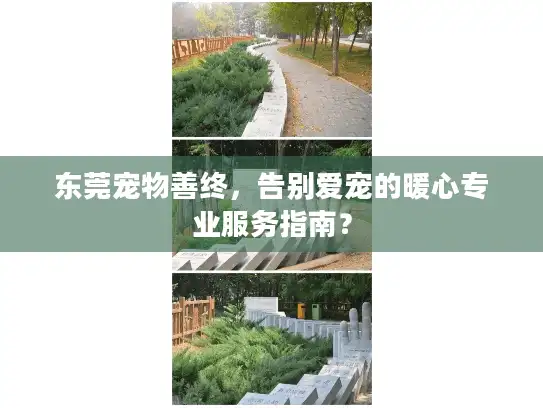 东莞宠物善终，告别爱宠的暖心专业服务指南？