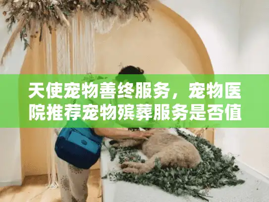 天使宠物善终服务，宠物医院推荐宠物殡葬服务是否值得信赖？