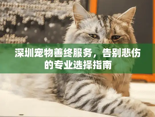 深圳宠物善终服务，告别悲伤的专业选择指南