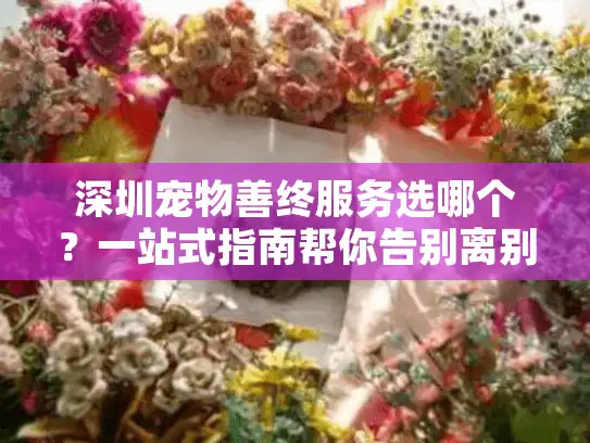深圳宠物善终服务选哪个？一站式指南帮你告别离别痛心时刻