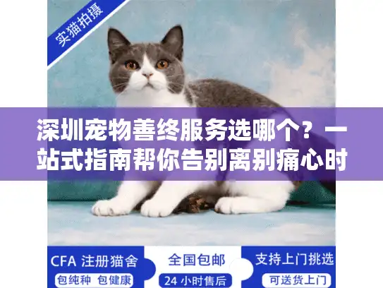 深圳宠物善终服务选哪个？一站式指南帮你告别离别痛心时刻