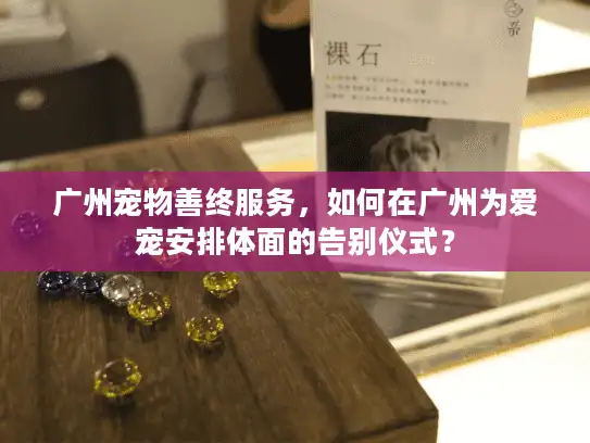 广州宠物善终服务，如何在广州为爱宠安排体面的告别仪式？