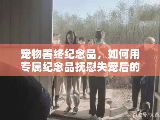 宠物善终纪念品，如何用专属纪念品抚慰失宠后的心灵？