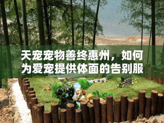 天宠宠物善终惠州，如何为爱宠提供体面的告别服务？