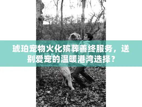 琥珀宠物火化殡葬善终服务，送别爱宠的温暖港湾选择？