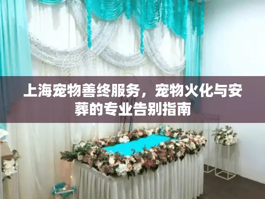 上海宠物善终服务，宠物火化与安葬的专业告别指南