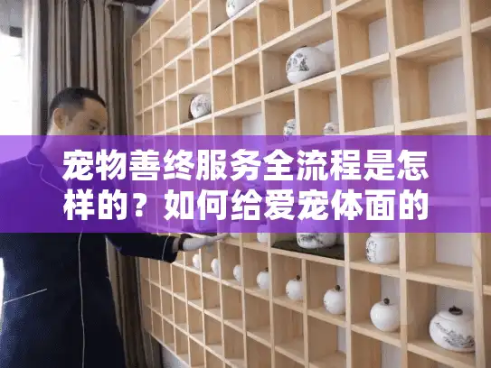 宠物善终服务全流程是怎样的？如何给爱宠体面的告别？