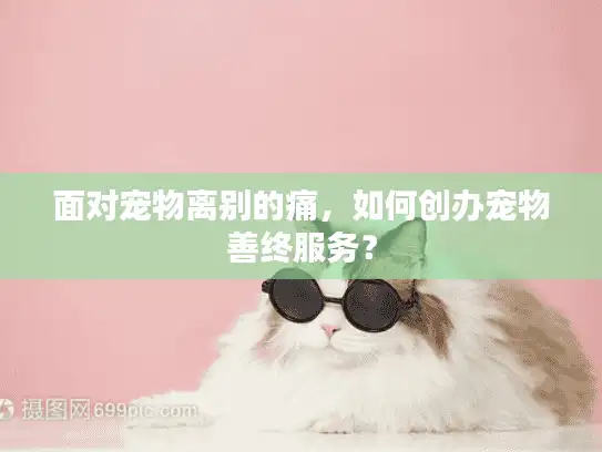 面对宠物离别的痛，如何创办宠物善终服务？