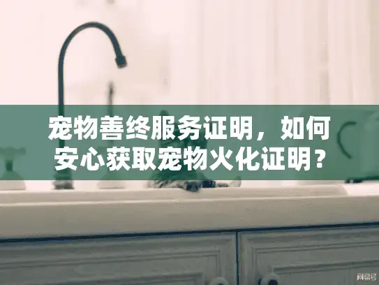 宠物善终服务证明，如何安心获取宠物火化证明？
