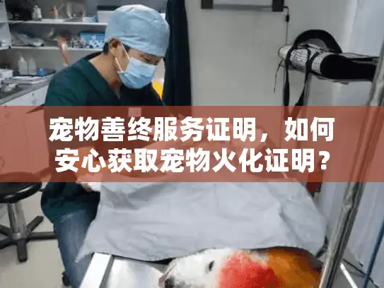 宠物善终服务证明，如何安心获取宠物火化证明？